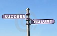 The most successful business ideas