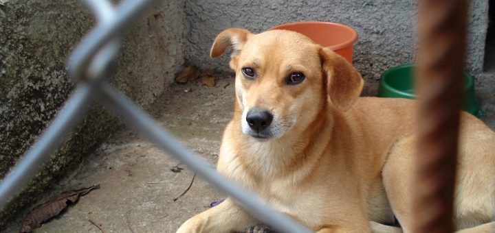 He has a job, too...